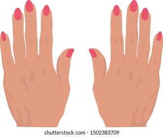  Female hands with long red nails. Vector illustration.
