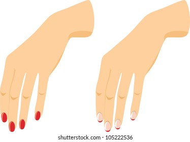 Female hands with manicure. Vector