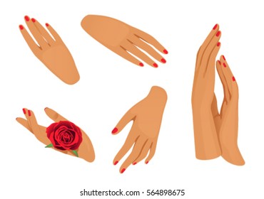 female hands on a white background