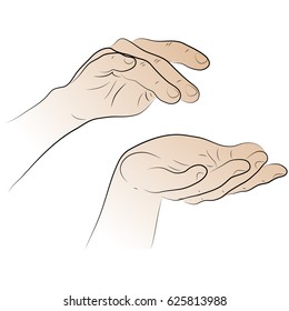 Female hands in a relaxed pose. Illustration on a topic of spreading butter or cream.