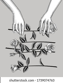 Las manos femeninas dispersan las rosas. Dibujo estilizado de grabado de época. Ilustración del vector
