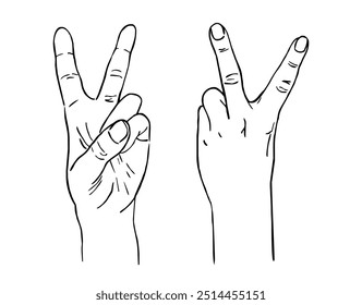 female hands showing peace v sign victory gesture  line drawing vector illustration