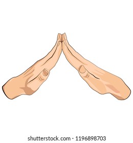 female hands touch each other in form of a house or a roof isolated on white background. Hand position color flat icon for web and mobile design
