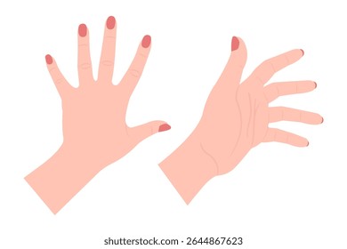female hands vector illustration on white, palm hand front back