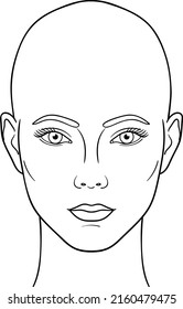 Female head front view vector illustration, bald woman head anatomy line art