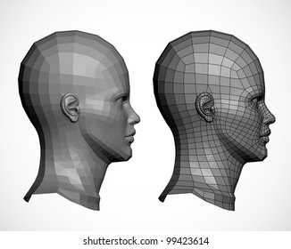 Female head in profile. Vector