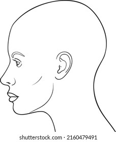 Female Head Side View Vector Illustration, Bald Woman Head Anatomy Line Art