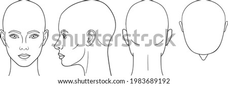 Female head vector illustration in front, back, top, side view