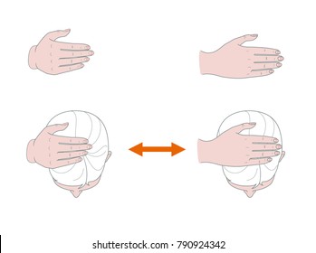 Female head view from above. A woman performs self-massage of her head with her hand. Vector. Isolated on white background