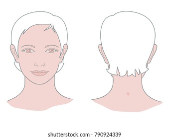 Female head view and view from behind. Vector. Isolated on white background