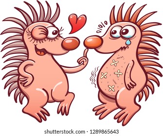 Female hedgehog trying to seduce her mate by touching his nose, winking and posing suggestively. The scared male is weeping and trembling because of the resulting wounds of their spiny encounters