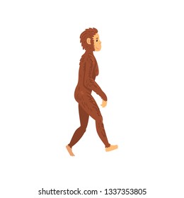 Female Homo Erectus, Biology Human Evolution Stage, Evolutionary Process of Woman Vector Illustration