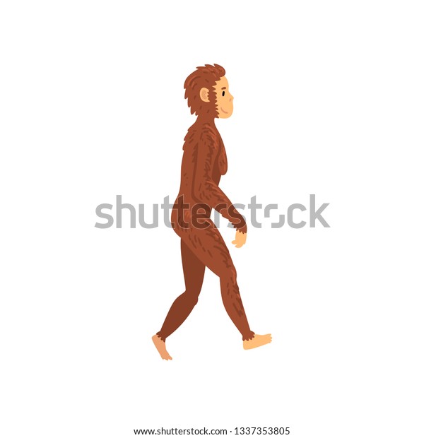 女性ホモ エレクトス 生物人類の進化段階 女性の進化過程ベクターイラスト のベクター画像素材 ロイヤリティフリー 女性ホモ エレクトス 生物人類の進化段階 女性の進化過程ベクターイラスト のベクター画像素材 ロイヤリティフリー