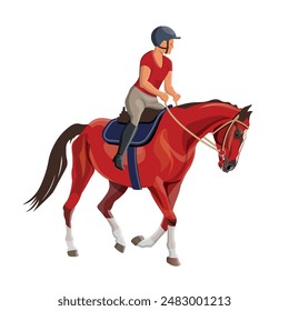 Female horseman on dressage horse. A rider riding a bay stallion. Horse school. Training process. Vector illustration isolated on a white background in a realistic style