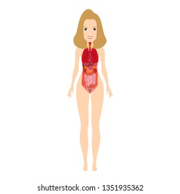 Female Human Anatomy, Internal Organs Diagram, Physiology, Structure, Medical Profession and Morphology. Vector illustration