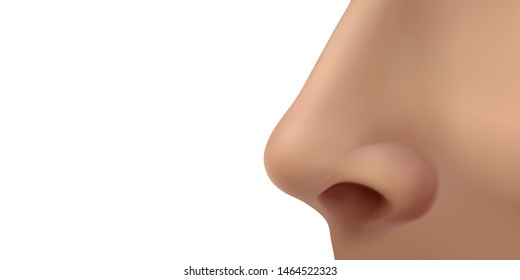 Female Human Nose On The Face. Profile View. Vector Illustration Isolated On White Background.