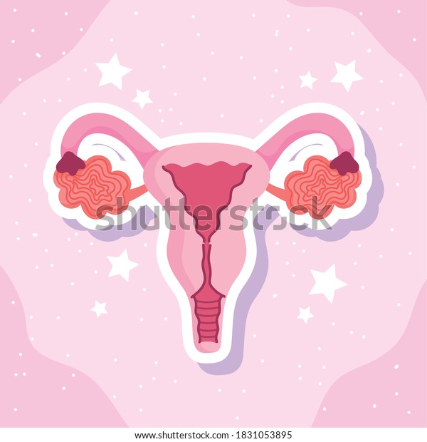 Female Human Reproductive System Biology Scheme Stock Vector Royalty