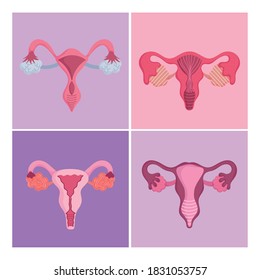 sistema reproductivo humano femenino, conjunto de diferentes órganos, concepto de salud de la mujer ilustración vectorial