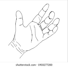 Female left Hand isolated on white background. Outline. Vector sketch illustration.