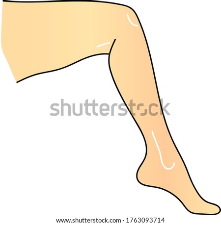 Female leg drawn from the side