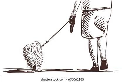 Female legs and dog on leash, Vector sketch isolated on white, Hand drawn hatching illustration