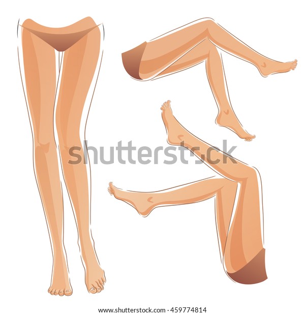 雌脚セット 女の脚セット 女の子の体 美しくてセクシー 美しいファッション モデルスリム エレガントなスタイル のベクター画像素材 ロイヤリティフリー