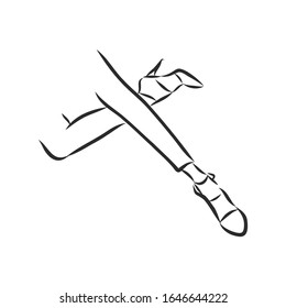 female legs in shoes, vector sketch illustration 