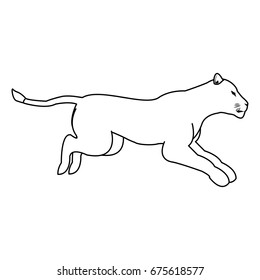 female lion african animal courageous creature