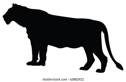 Female Lion, Lioness Silhouette