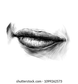 female lips and a slight smile with a raised area, sketch vector graphics monochrome illustration