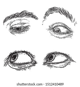 Female and male eye and brow with lashes image set in different mood and directions. Fashion boy and girl vision design. Ink hand drawing for makeup look and studio salon or tattoo design. Vector.
