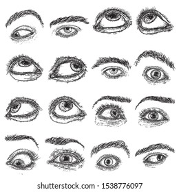 Female and male eye and brow with lashes image set in different mood and directions. Fashion boy and girl vision design. Ink hand drawing for makeup look and studio salon or tattoo design. Vector.