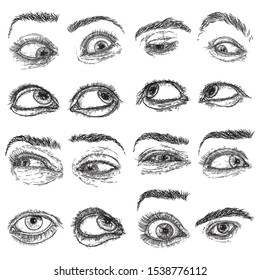 Female and male eye and brow with lashes image set in different mood and directions. Fashion boy and girl vision design. Ink hand drawing for makeup look and studio salon or tattoo design. Vector.