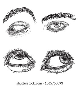 Female and male eye and brow with lashes image set in different mood and directions. Fashion boy and girl vision design. Ink hand drawing for makeup look and studio salon or tattoo design. Vector.