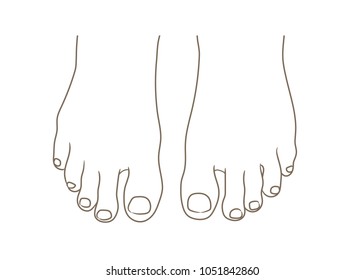 Female or male foot sole, barefoot, top view. Toenails with pedicure.Vector outline illustration, hand drawn cartoon style isolated on white, black and white contour