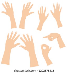 Female and male hand with nails, top view and profile. Hand drawn line sketch, vector silhouettes, beige color isolated on white background