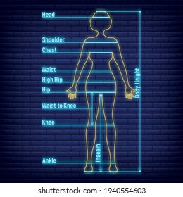 Female Male Neon Glow Size Chart Stock Vector (Royalty Free) 1940554603 ...