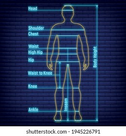 365 Chest wall anatomy Images, Stock Photos & Vectors | Shutterstock