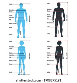 Female And Male Size Chart Anatomy Human Character, People Dummy Front And View Side Body Silhouette, Isolated On White, Flat Vector Illustration. Cartoon Woman Mannequin People Dimension Scale.