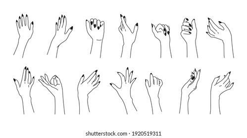 Anatomy Drawing Hand Images, Stock Photos & Vectors | Shutterstock