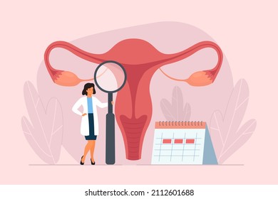 Female menstrual cycle. Female doctor tracking menstrual cycle. Vector illustration of female reproductive system.