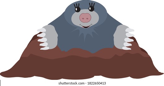 Female Mole Above Ground Vector Illustration Molehill and Mole