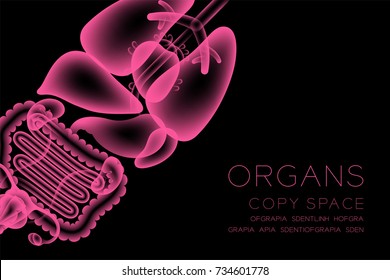 Female Organs X-ray set, Normal concept idea illustration isolated glow in the dark background, with Organ text and copy space