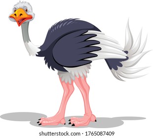 Female ostrich cartoon vector art and illustration