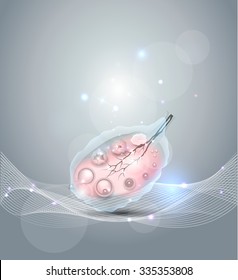 Female ovary and ovulation step by step on an abstract grey background