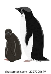 A female Adélie penguin with a chick. Birds of the South Pole. Realistic vector animal