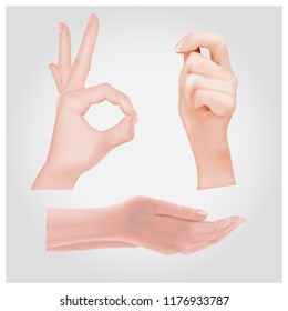 Female realistic hands on a light gray background