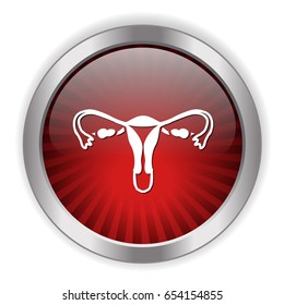 female reproductive icon
