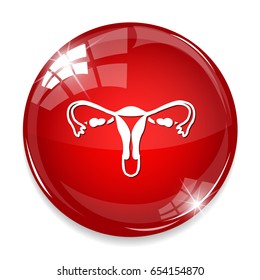 female reproductive icon