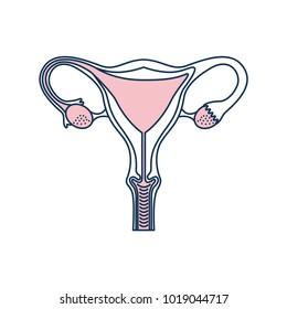 Female Reproductive Organ Icon